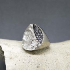 anillo de autor en Zaragoza